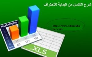 كيفية التعليم على برنامج إكسيل (Excel)