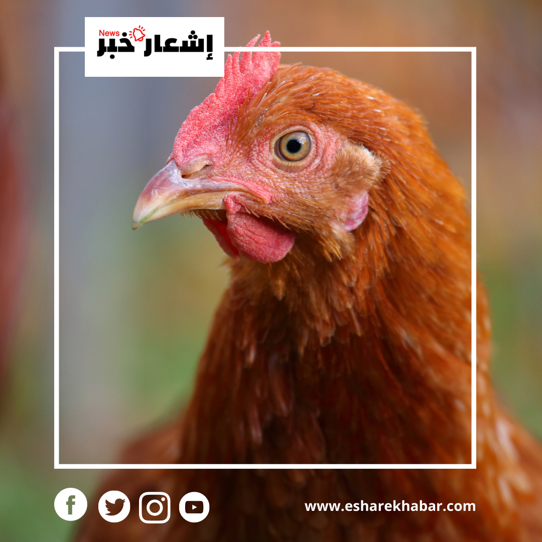 png_20221224_130412_٠٠٠٠