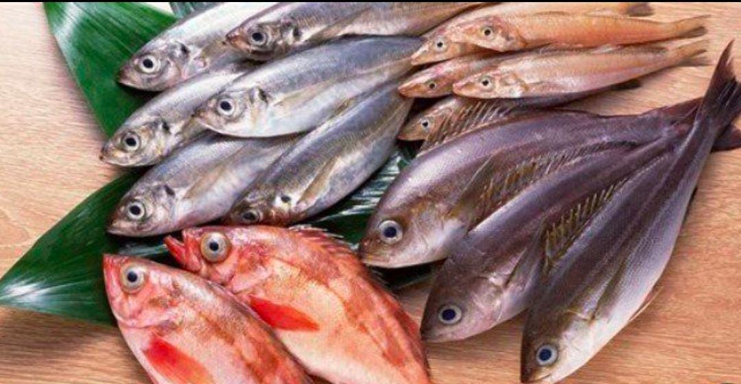 صورة واتساب بتاريخ 2025-01-17 في 11.36.56_c6109223