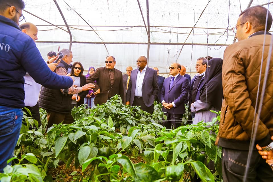 وزارة الزراعة