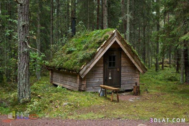 IMG-20250730-WA0018[1]