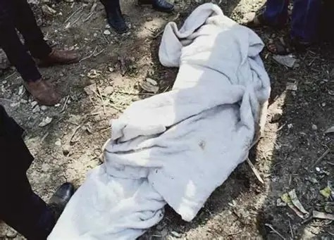 IMG-20250730-WA0021[1]